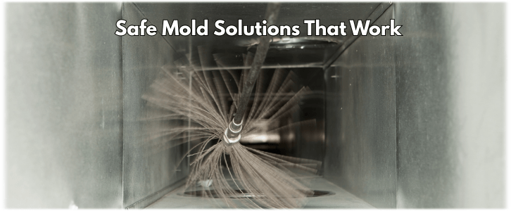 Air Duct Mold Removal in Atlanta GA