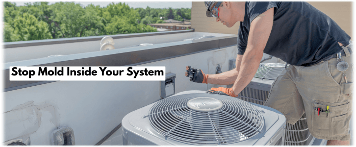 HVAC Mold Removal Atlanta GA
